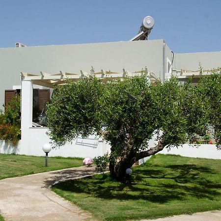 Villa Dimitris Palekastro Zewnętrze zdjęcie