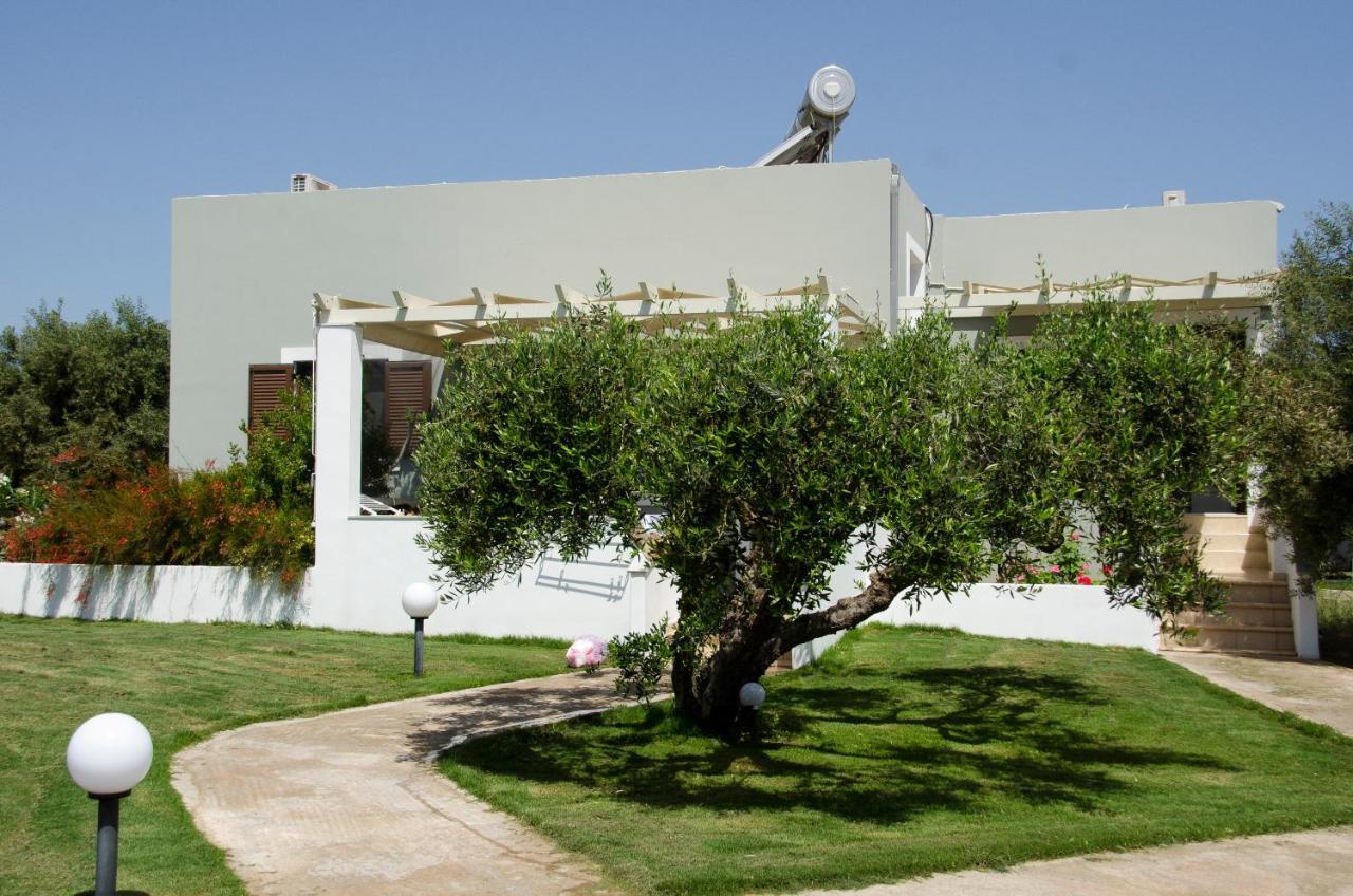 Villa Dimitris Palekastro Zewnętrze zdjęcie